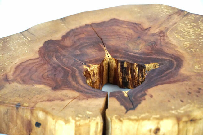 Patera z plastra głogu