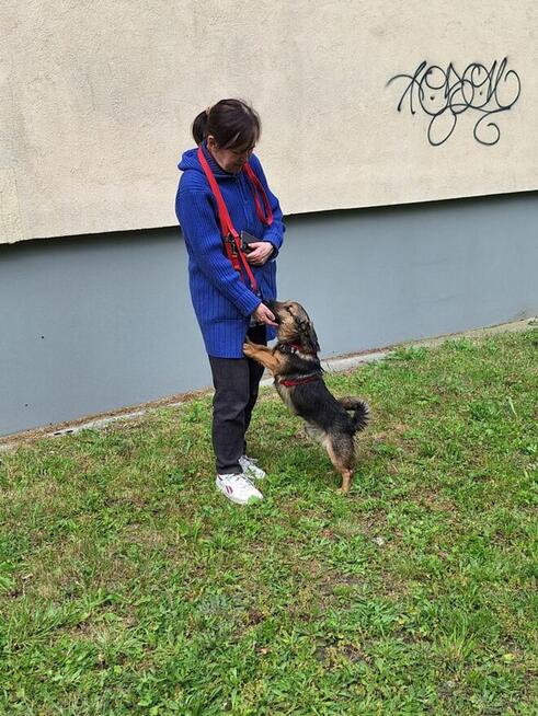 Fantastyczny, niewielki Kapsel szuka domu!