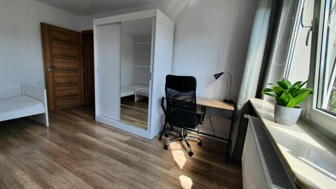 Pokój do wynajęcia