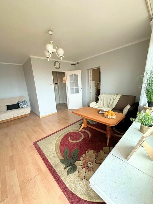 Nowa, niższa cena! Kawalerka na sprzedaż!