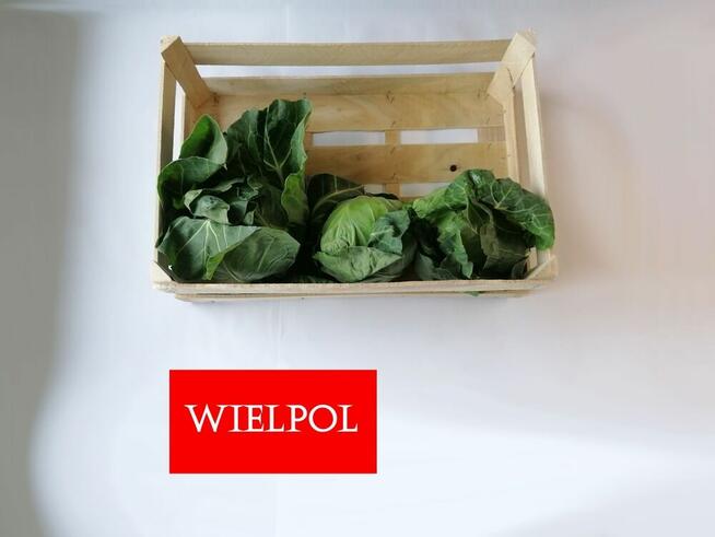 Skrzynki drewniane do kapusty / Skrzynki z łuszczki