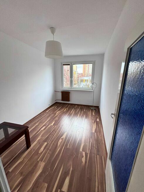 3 pokojowe mieszkanie w centrum miasta