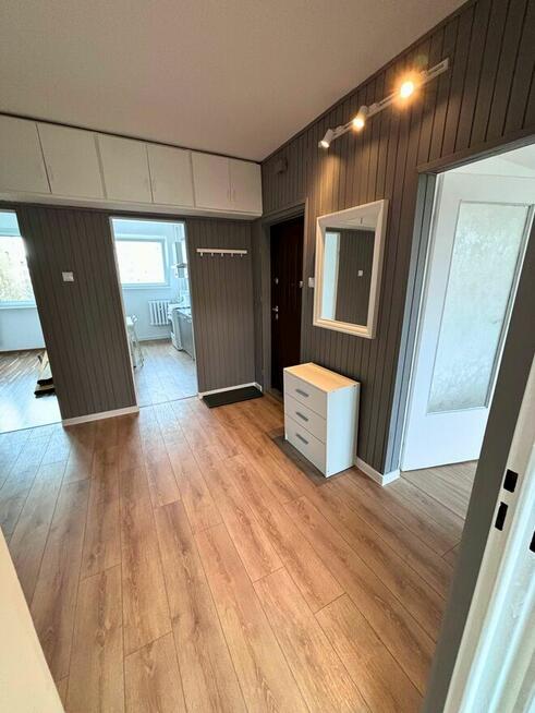 3 pokojowe mieszkanie w centrum miasta