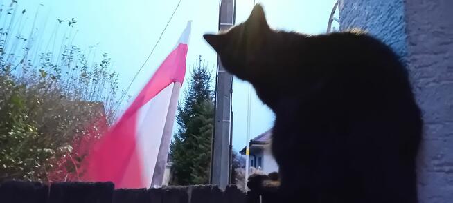 45 latek zaprosi na pogaduchy