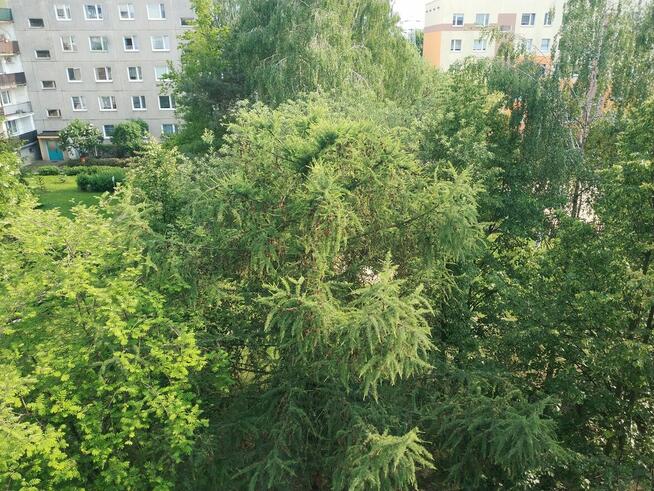 Pabianice Bugaj kupię 60-73 m2 - mieszkanie