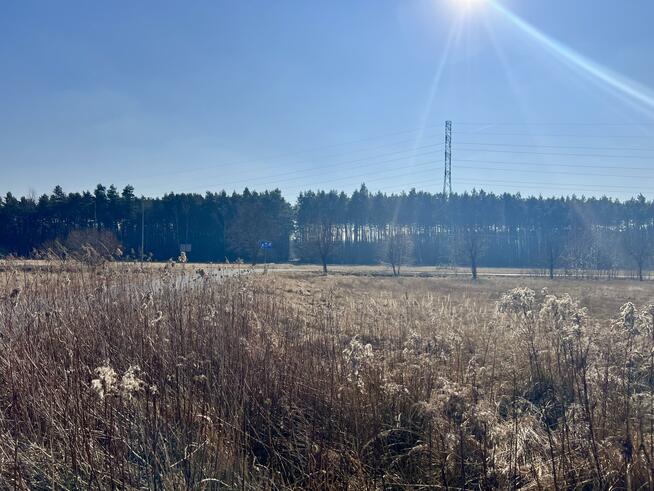 Działka budowlana Krasiejów gm. Ozimek