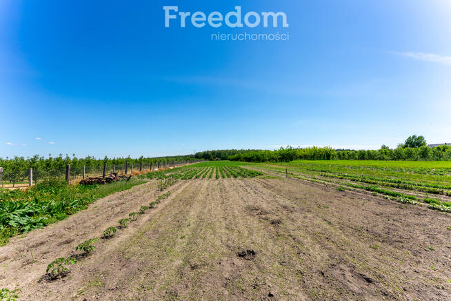 Dom z duża działka