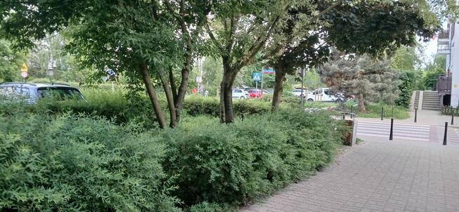 Lokal użytkowy Warszawa gm. Ursynów Ursynów, Romualda Mielczarskiego