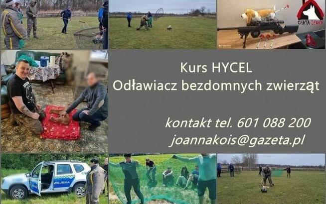 Kurs Hycel - Odławiacz bezdomnych zwierząt