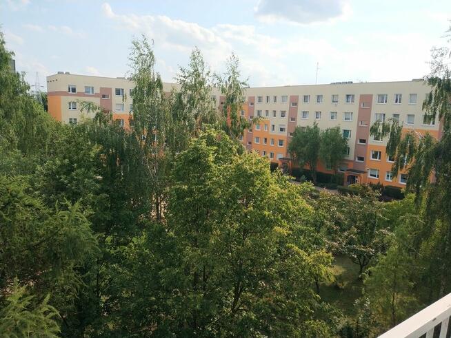 Pabianice Bugaj kupię 60-73 m2 - mieszkanie