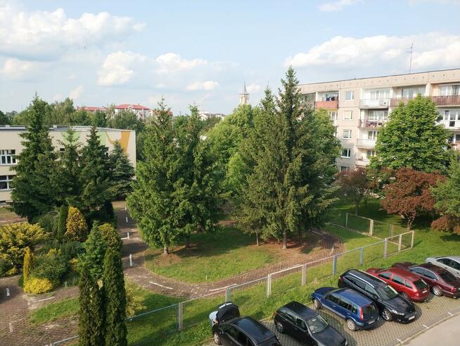 Pabianice Bugaj kupię 60-73 m2 - mieszkanie
