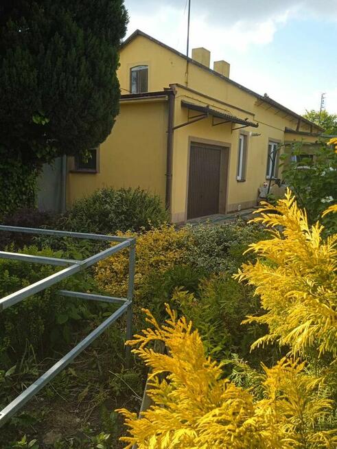 Gospodarstwo Świerczyn, koło Topólki: Dom, budynek, działka,