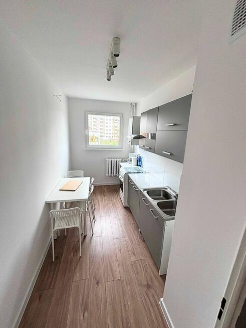 3 pokojowe mieszkanie w centrum miasta