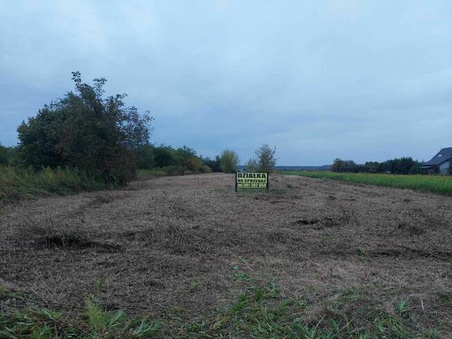 Działka nad jeziorem Tarnobrzeskim