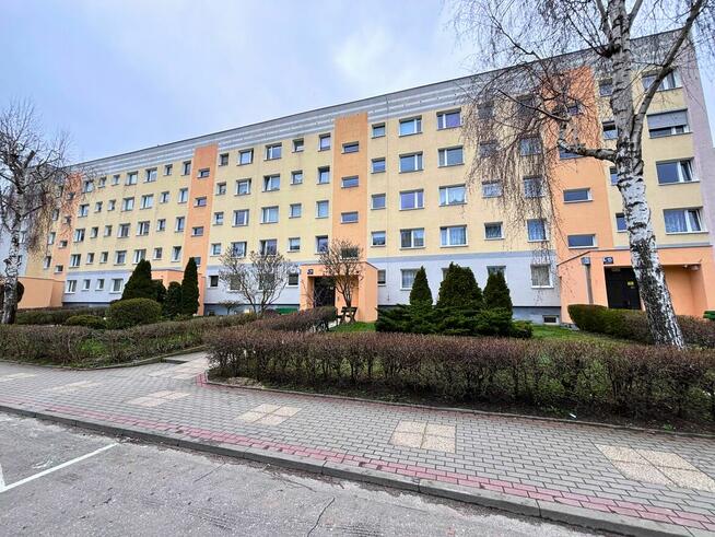 3 pokojowe mieszkanie w centrum miasta