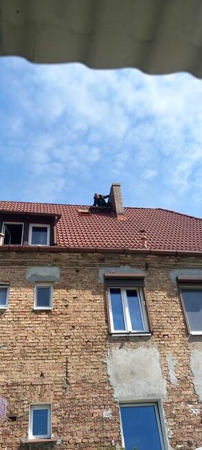 Kominiarz szczecin, czyszczenie komina