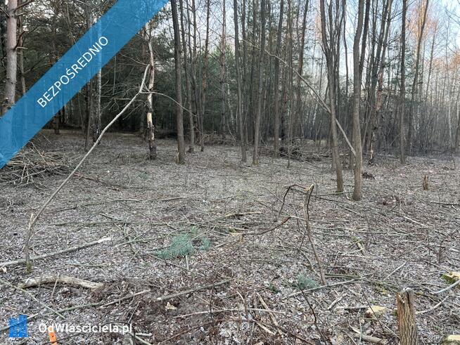 Działka budowlana w miejscowości Wola Pieczyska, 1335m2, tylko 1h od Warszawy, w spokojnym miejscu