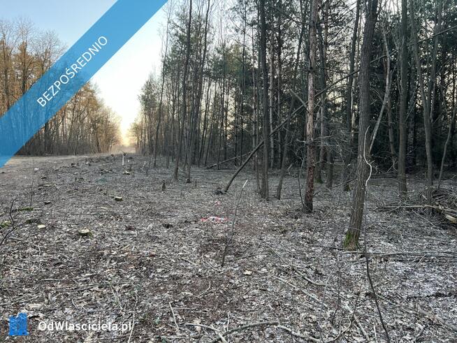 Działka budowlana w miejscowości Wola Pieczyska, 1335m2, tylko 1h od Warszawy, w spokojnym miejscu