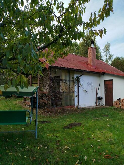 Domek pod lasem pod budowę lub wakacje