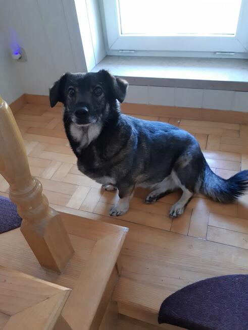 Oddam w dobre ręce.