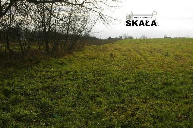 Działka budowlana Krasieniec Zakupny gm. Iwanowice