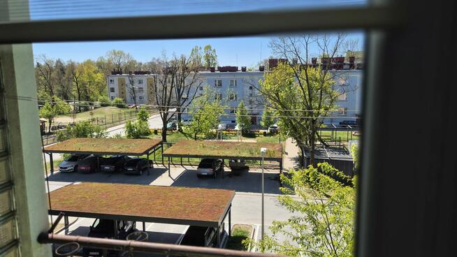 Wynajmę mieszkanie – Kędzierzyn-Koźle, ul. Dmowskiego