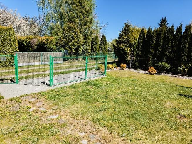 Sprzedam Działkę ROD „Pszczółka Maja” w Gnieźnie