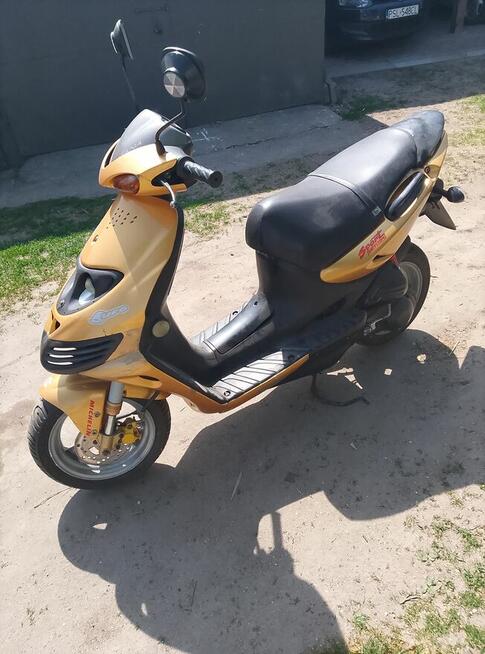Suzuki ay50