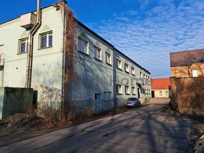 Lokal użytkowy Czempiń,