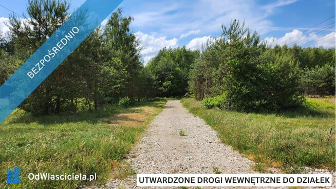 ZBOISKA K.RADZIEJOWIC - DZIAŁKI BUDOWLANE PRZY LESIE, ŚWIETNY DOJAZD S8 DO W-WY, CENY OD 94 TYŚ. ZŁ!