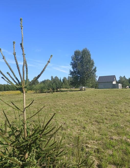 Mazurska sielanka z historią w tle – Działka -Warunki Zabudowy | Jezioro 1.8 km