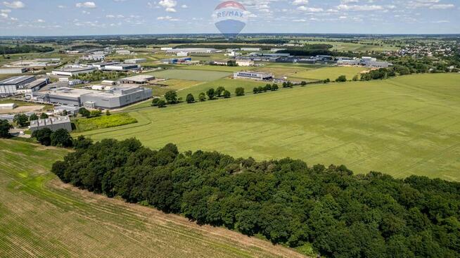 17 ha | MPZP P-U | 1,5 km do A2 | Niepruszewo