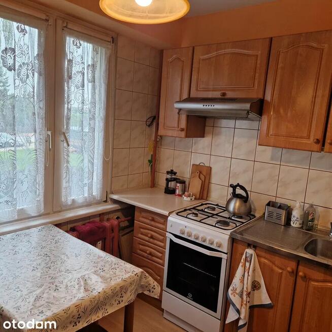 Serbinów / 62m2 / PARTER / 3 pokoje+balkon+piwnica