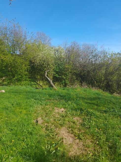 Domek holenderski nad morzem