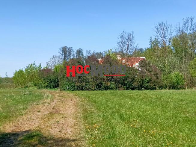 Działka rolna Obręb gm. Pokrzywnica