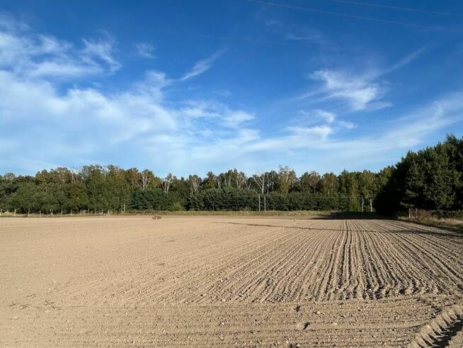 Działka inwestycyjna Biskupice gm. Pobiedziska,