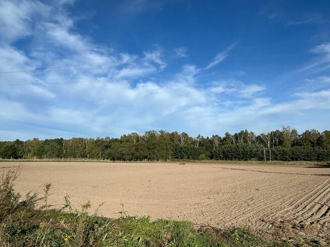 Działka inwestycyjna Biskupice gm. Pobiedziska,