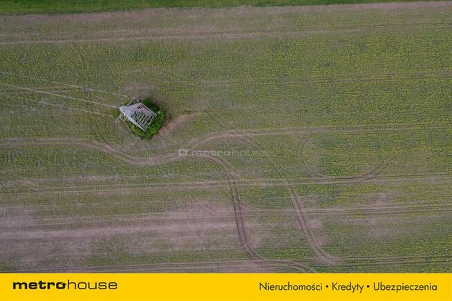 2 ha działki rolnej w zielonogórskiej Zawadzie