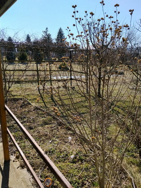 Zadbana działka ROD OAZA Uniszowice