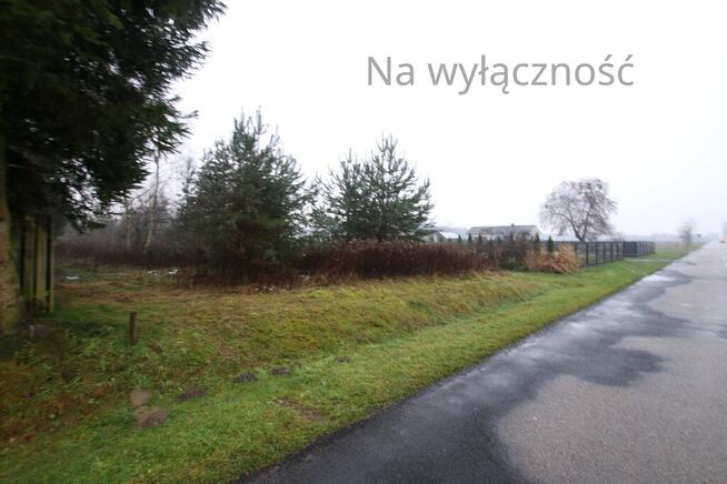 Działka rolno-budowlana 1,52 ha Dąbrowa gm. Ludwin