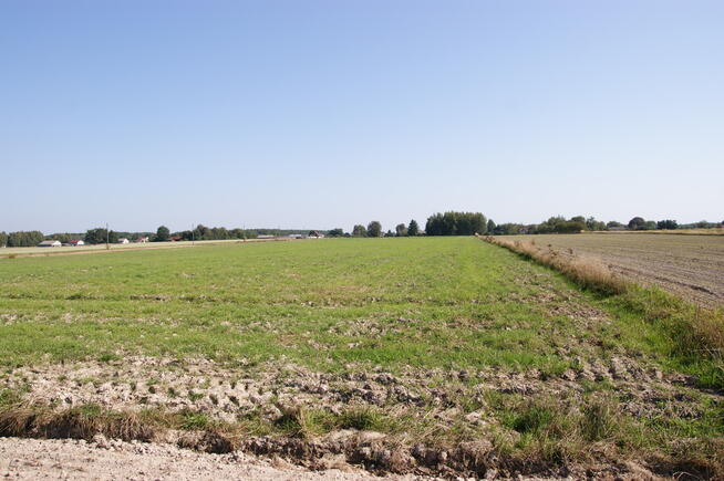 Duża działka jezioro Krasne (podział na 8 działek)