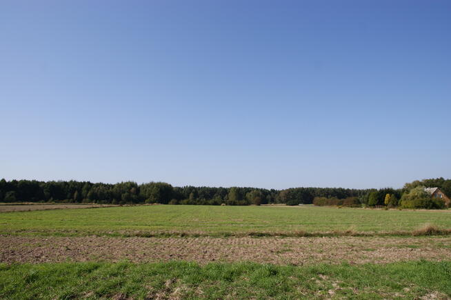Duża działka jezioro Krasne (podział na 8 działek)