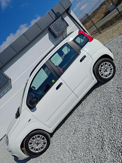 Fiat Panda 1.2 1Wł Salon PL