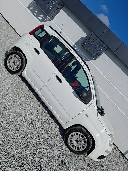 Fiat Panda 1.2 1Wł Salon PL
