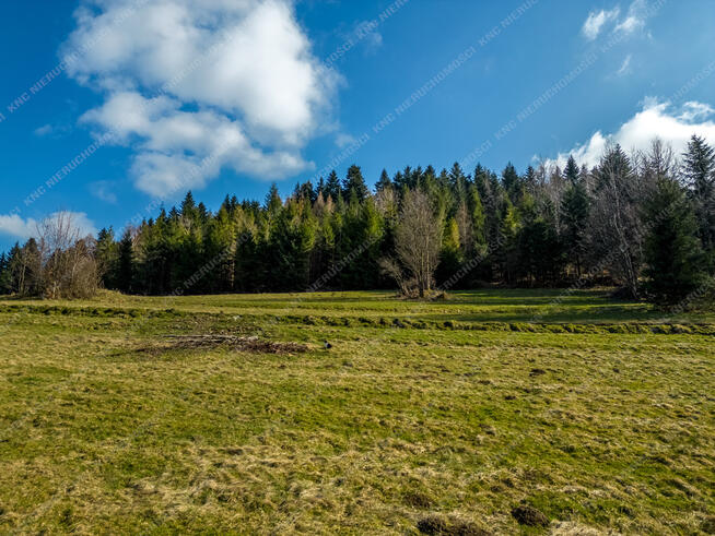 Zawoja - widokowa działka 1351 m2 , prąd, las