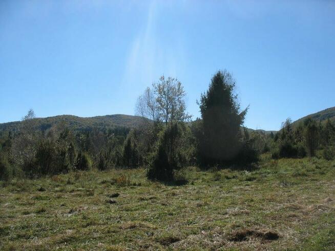 Piękna działka leśna - Bieszczady