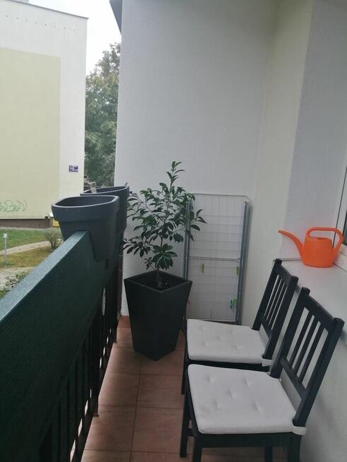 KAWALERKA DO WYNAJĘCIA