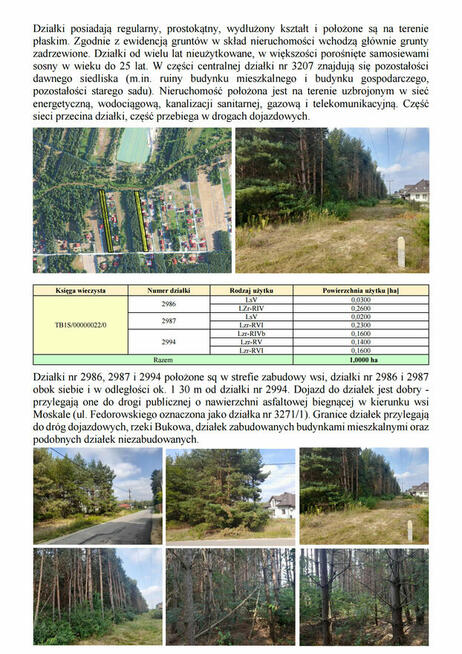 Syndyk sprzeda udziały w grunatach Jastkowice - Stalowa Wola