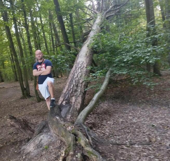 Szukam dziewczyny