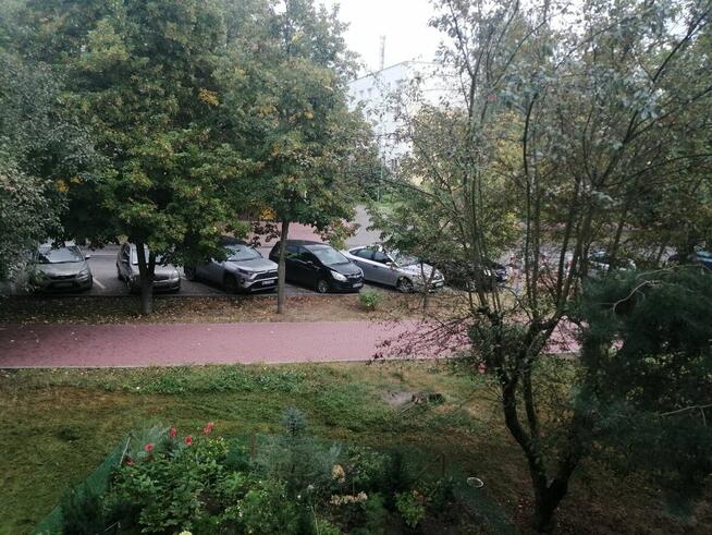 KAWALERKA DO WYNAJĘCIA